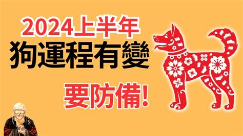 2024狗年運程1982|1982属狗2024年运势 1982属狗2024年运势完整版